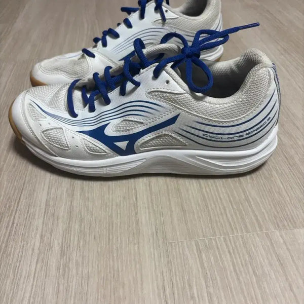 [BUNJANG] Mizuno Cyclone Speed 3 Badminton Shoes 250 / 미즈노 사이클론 스피드3 스포츠화 250