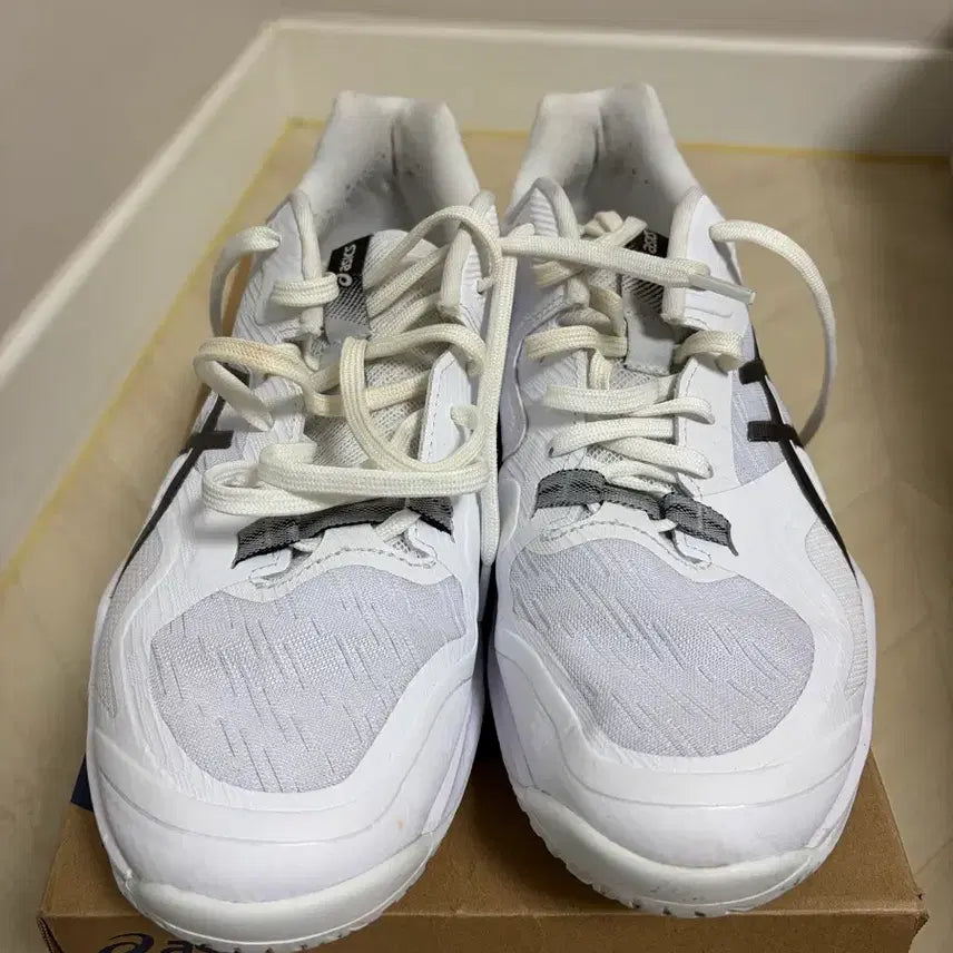 [BUNJANG] Asics Sky Elite FF 4 Shoes (270mm) / 아식스 스카이엘리트 ff4 270