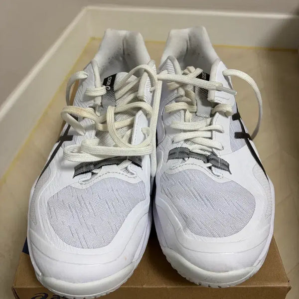 [BUNJANG] Asics Sky Elite FF 4 Shoes (270mm) / 아식스 스카이엘리트 ff4 270