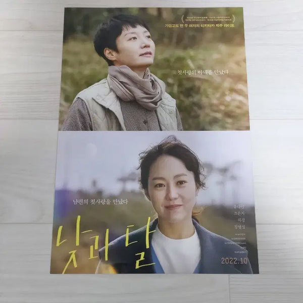 [BUNJANG] The Night Owl Movie Flyer / 낮과달 영화전단지