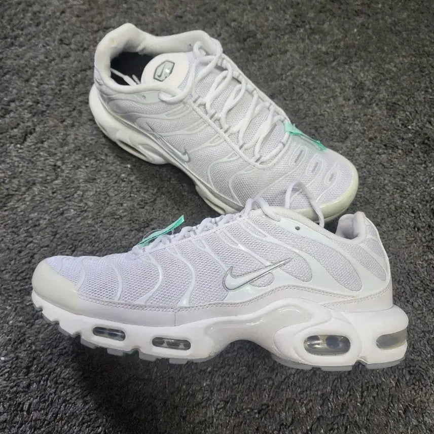 [BUNJANG] Nike Air Max Plus White Shoes Size 280 / 나이키 에어맥스 플러스 화이트  280사이즈