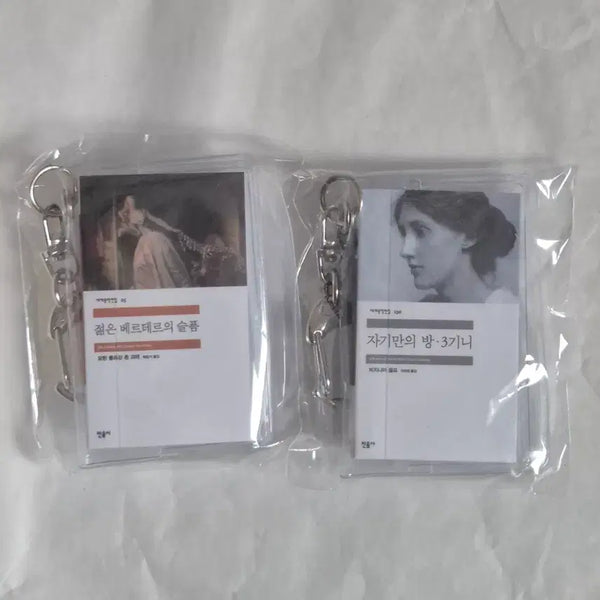 [BUNJANG] Minumsa Popup Gacha Keyring Bundle Set / 민음사 팝업 가챠 키링 일괄