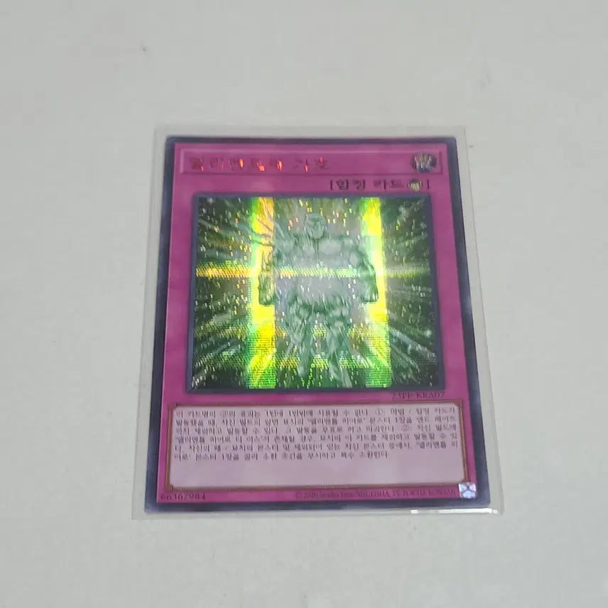 [BUNJANG] Yu-Gi-Oh! Element's Blessing Red Secret Rare / 유희왕 엘리멘트의 가호 레드 시크