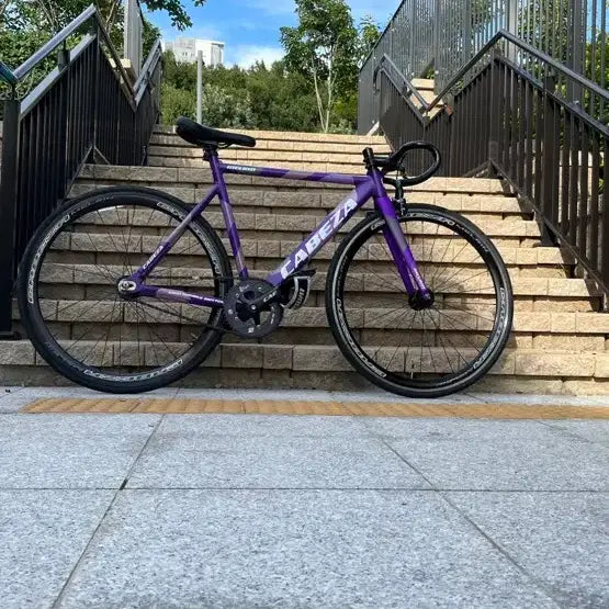 [BUNJANG] Cabeza Pixie Bicycle Frame & Sabré Fixed Gear Bicycle / 카베자픽시자전거랑 사브레 프셋팔아요