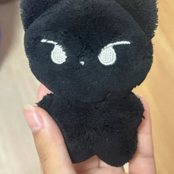 [BUNJANG] TWS Dohyun Doll / 투어스 도훈 인형판매