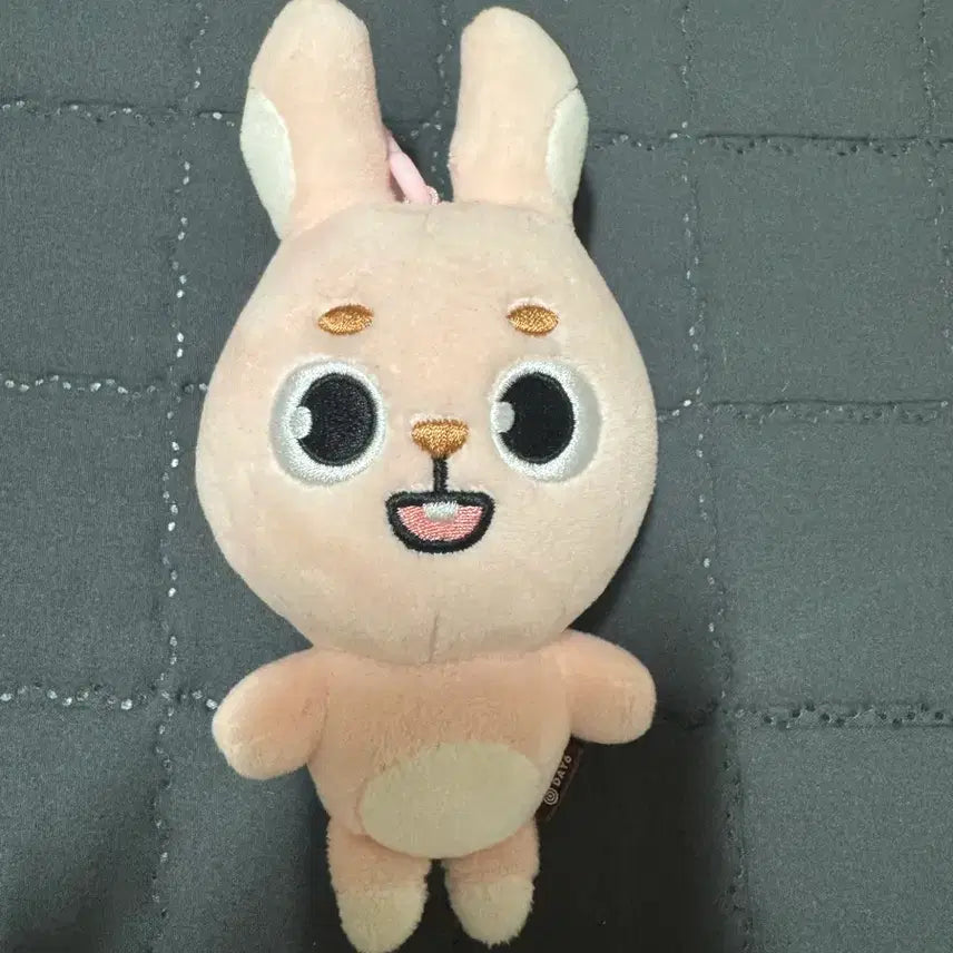 [BUNJANG] Day6 Dennimals 2024 Phil Photocard / 데이식스 데니멀즈 2024 필
