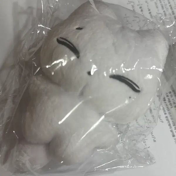 [BUNJANG] ENHYPEN Sunoo CatDoll Plush / 엔하이픈 선우 인형 캣떠니