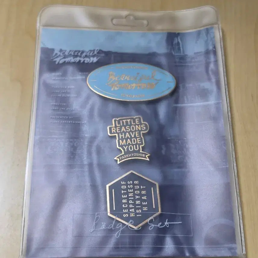 [BUNJANG] Park Hyo Shin View To Badge / 박효신 뷰투 뱃지
