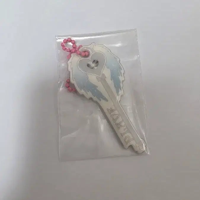 [BUNJANG] PLAVE 2025 Season's Greetings Keyring / 플레이브 2025시즌그리팅 키링