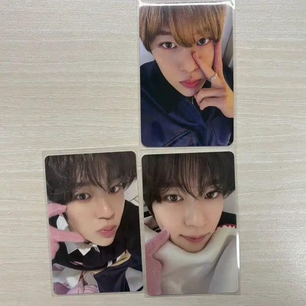 [BUNJANG] NCT WISH Sion Photocard Bundle Set / nctwish 위시 시온 포카