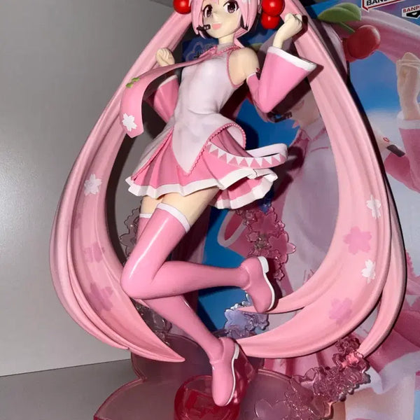 [BUNJANG] Banpresto Sakura Miku Figure / 실물영상) 하츠네 미쿠 피규어 반프레스토 사쿠라미쿠