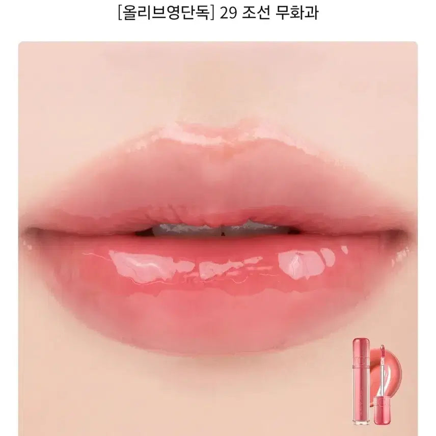 [BUNJANG] Rom&nd Juicy Lasting Tint Shade 29 (Korean Fig) / 롬앤 더 쥬시 래스팅 틴트 29 조선 무화과 봄웜 여쿨 갈웜 겨쿨 라이트 브라이트 페일 뮤트 클리어 트루 딥 비비드 스트롱 소프트