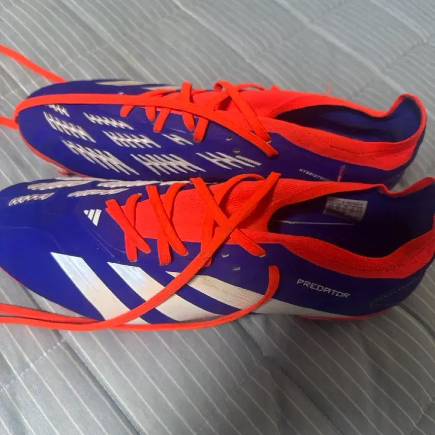 [BUNJANG] Adidas Predator Football Boots Blue/Orange / 아디다스 프레데터 축구화 블루 오렌지