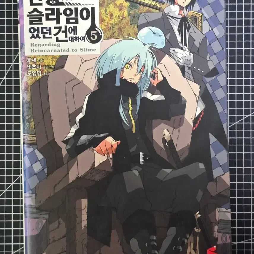 [BUNJANG] That Time I Got Reincarnated as a Slime Light Novel Vol. 5 / 전생했더니 슬라임이었던 건에 대하여 라이트노벨 5권