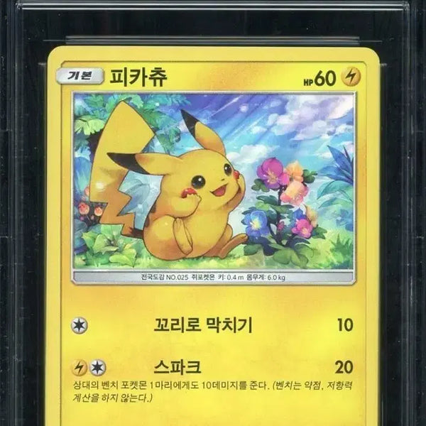 [BUNJANG] Pokemon Pikachu 2017 Promo PSA 10 Gem Mint / 포켓몬 카드 피카츄 2017 프로모 10 등급