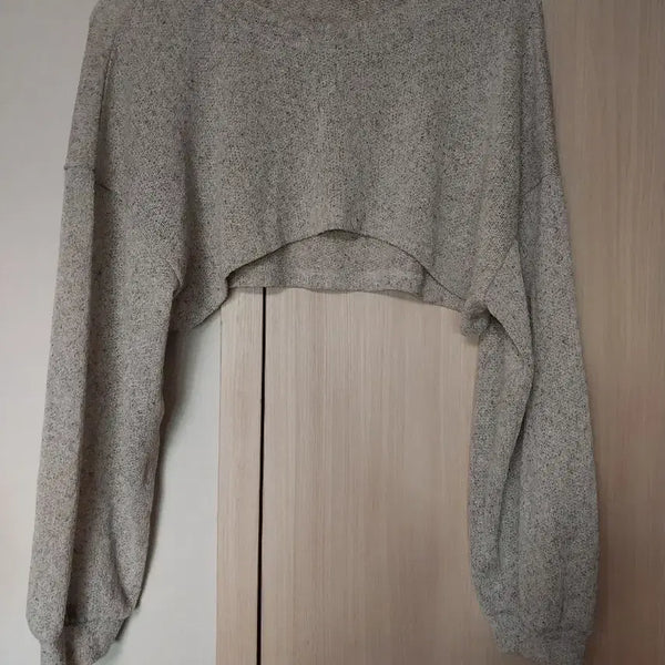 [BUNJANG] Plus Size Cropped Thin Knit Sweater - Gray / 빅사이즈 크롭 얇은니트 그레이 55 66 77 88