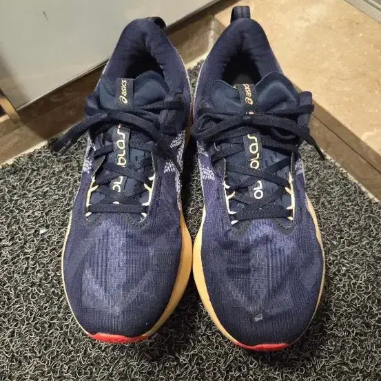 [BUNJANG] ASICS NovaBlast 5 Running Shoes 280mm / 아식스 노바블라스트 5 280mm