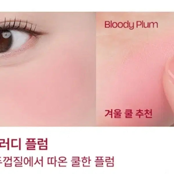 [BUNJANG] TipToe Blurry Puree Blusher Z05 Bloody Plum / [새상품/겨쿨추천]팁토우 블러리 퓨레 블러셔 Z05블러디 플럼