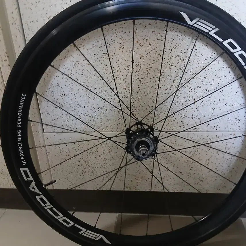 [BUNJANG] Velocidad 42 Rim Rear Wheel / 벨로시닷 42림 리어 판/교