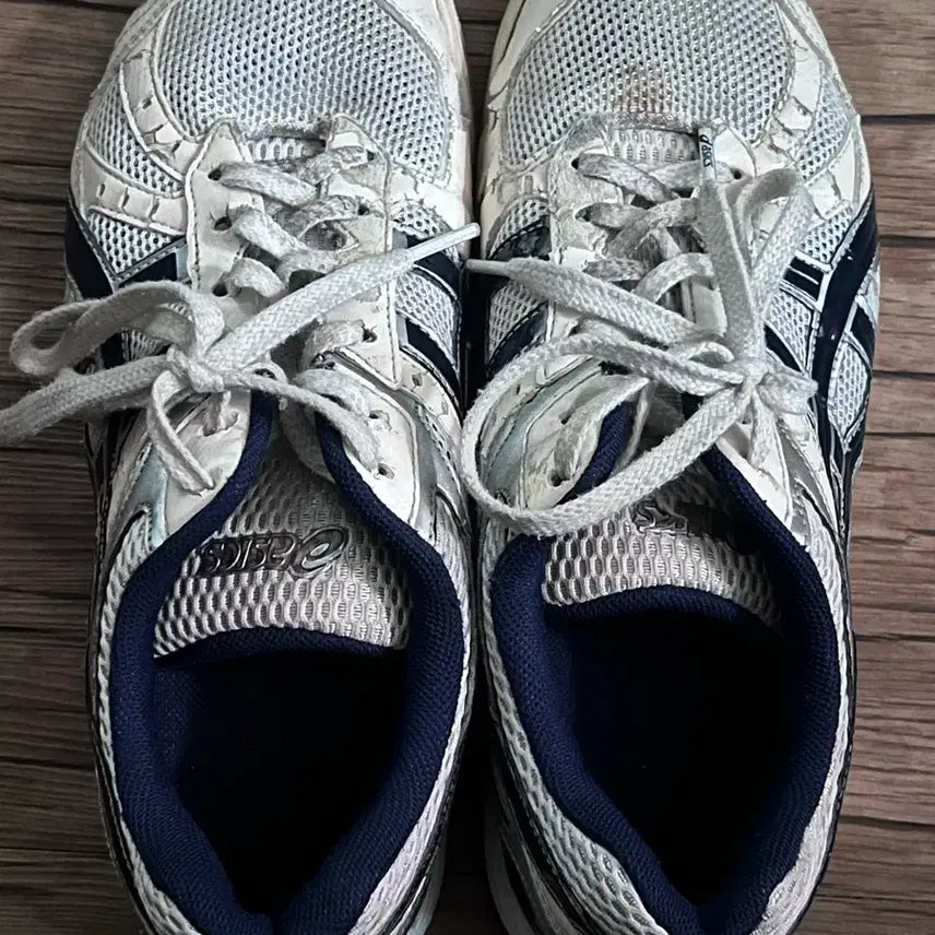 [BUNJANG] ASICS Roterre 260 / 아식스 로테리브레 260