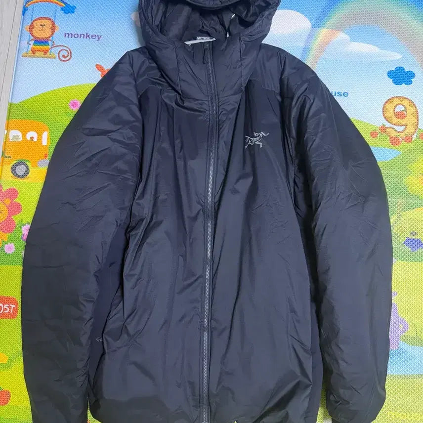 [BUNJANG] Arc'teryx Atom SV Hoodie XL / 아크테릭스 아톰 SV 후디 (XL)