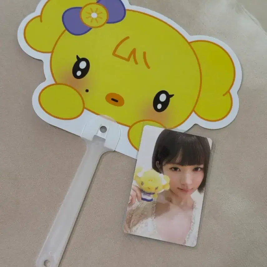 [BUNJANG] MINIVE Ray Lucky Draw Photocard Bundle Set / 미니브 7만특전 레이