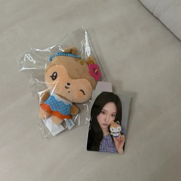 [BUNJANG] MINIVE Tanning Teddy 70k POB Bundle Set / 미니브 태닝달이 7만특전 가을