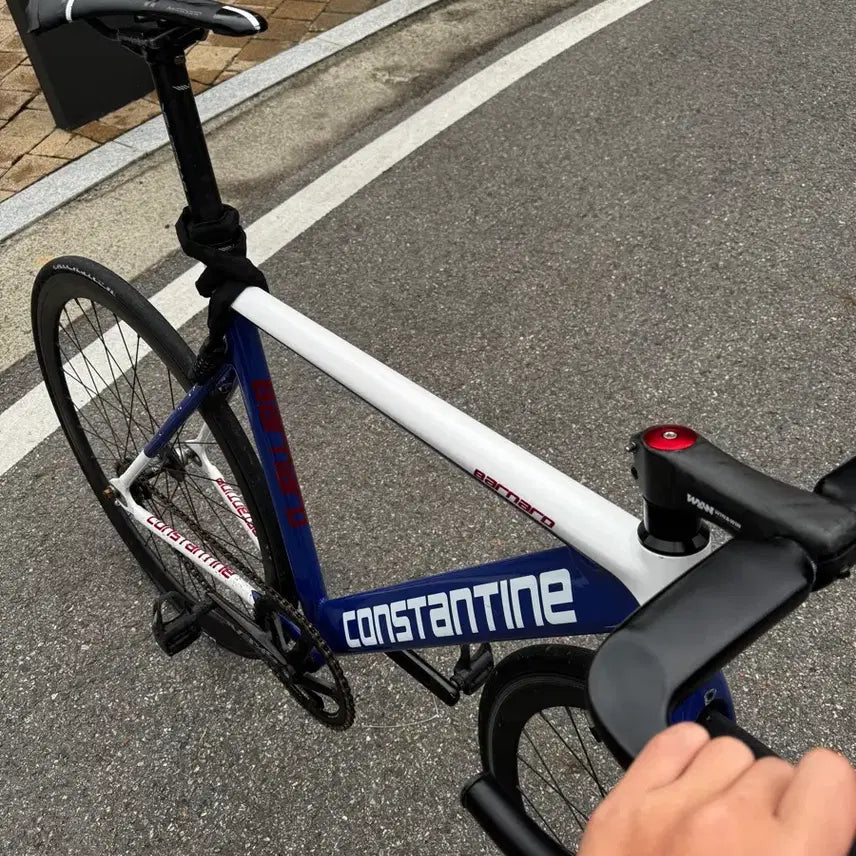 [BUNJANG] Custom Build Road Bike / 버니드23년식 건담 급처때려요