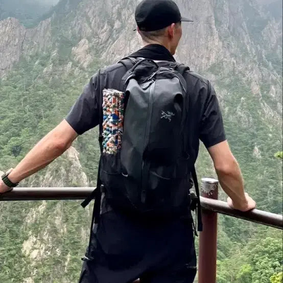 [BUNJANG] Arc'teryx Arro 22 Backpack Black / 아크테릭스 아로 22 백팩 블랙