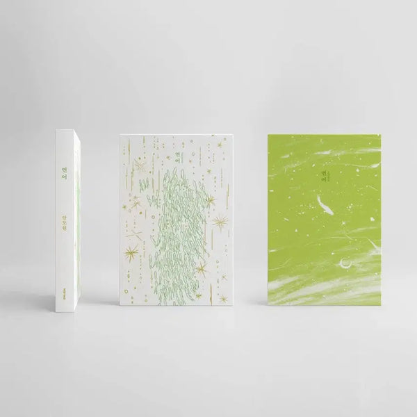 [BUNJANG] Moonji Publishing Salmon Hanji Limited Edition / 문학동네 연어 한지 리미티드 에디션 풀빛 연두색