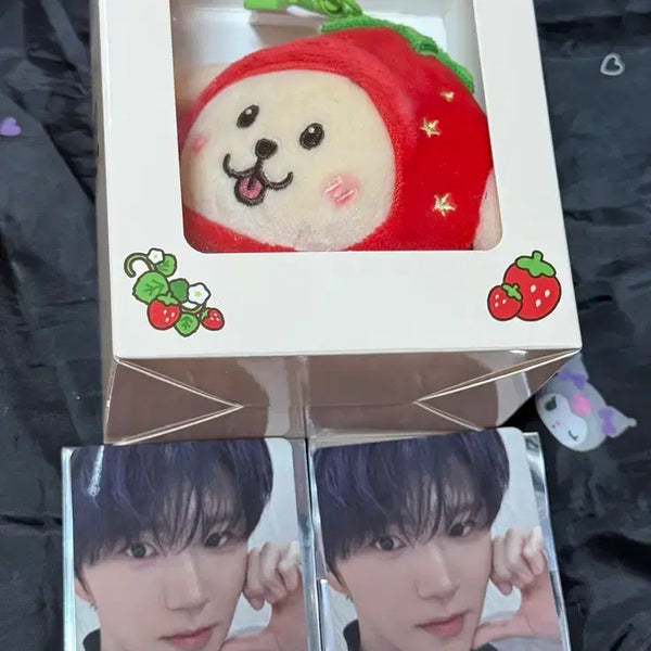 [BUNJANG] Strawberry Wishdol Denglriever Bundle Set with 2 Special Photocards / (미개봉/현물) 딸기 위시돌 댕트리버 양도