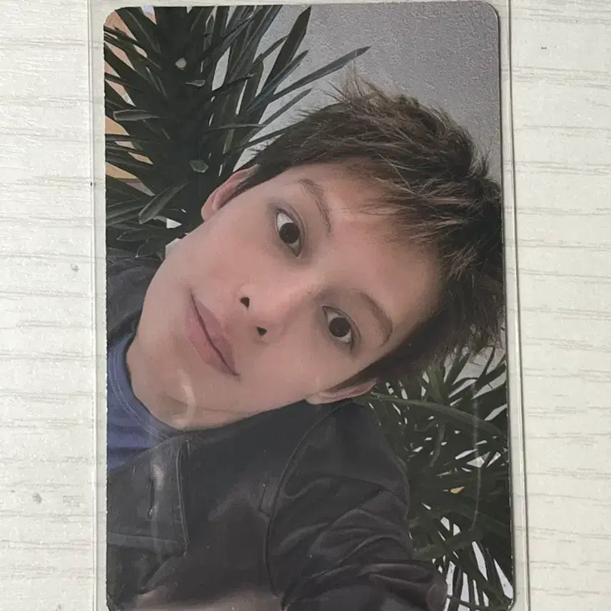 [BUNJANG] Curtis James Photocard / 코르티스 제임스 포카 판매