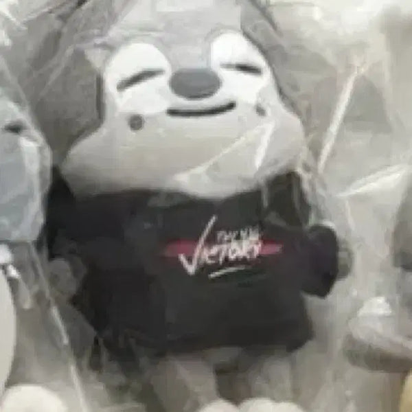[BUNJANG] Stray Kids Bang Chan 15cm Mini Plush Doll / 울프찬 스키주 스키즈 방찬 인형 양도