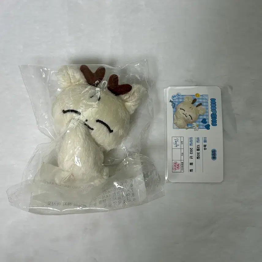 [BUNJANG] SEVENTEEN Joshua NupShu Plush / 세븐틴 조슈아 인형 눕슈
