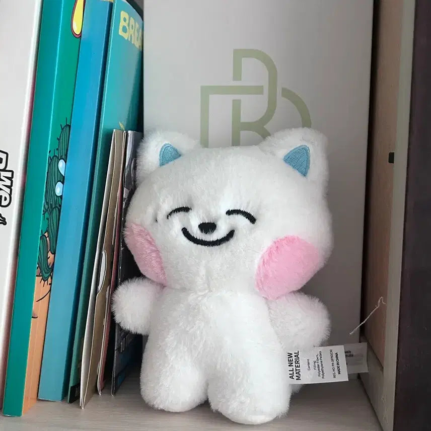 [BUNJANG] LINE FRIENDS JENO Doll / 라인프렌즈 제노 인형 팔아요!!