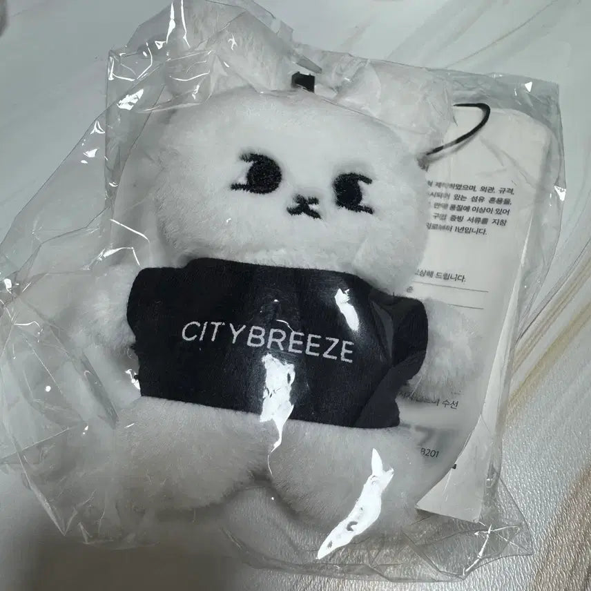 [BUNJANG] NCT Doyoung City Pop Snappy Doll (Sealed) / nct 도영 시티브리즈 인형