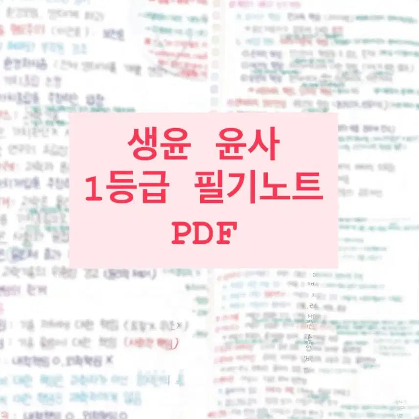 [BUNJANG] Ethics & Society 1st Grade Study Notes PDF (Lee Jiyoung's 'Examining Eye' Notes + Past Papers, Mock Exams, Textbooks) / 생윤 1등급 필기노트 PDF (이지영 출제자의 눈 필기노트 + 기출,현돌,더프,학평,수특수완 선지 및 제시문)