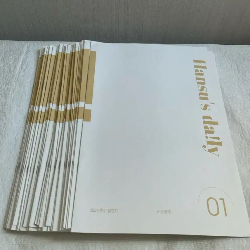 [BUNJANG] Sidae Injae Korean Language Daily Study Material Set (40 Issues) / 시대인재 재종 국어 일간지  40회분 전회차