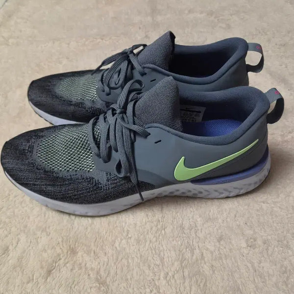 [BUNJANG] Nike React Infinity Run Flyknit 295mm Men's Running Shoes / 나이키 리액트 인피니티 런 플라이니트 295mm