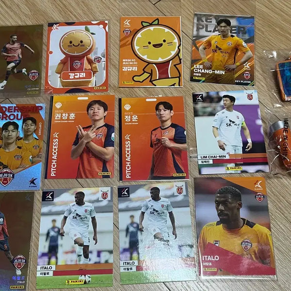 [BUNJANG] Jeju SK Card and Keychain Bundle / 제주sk 카드, 키링 판매