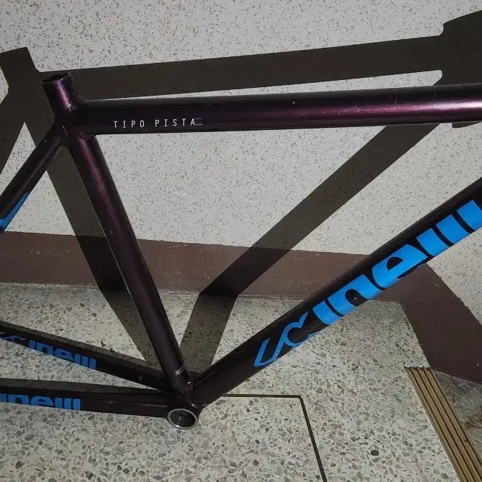 [BUNJANG] Cinelli Tipo Pista Frame Purple Blue Logo / 치넬리 티포 피스타 프레임