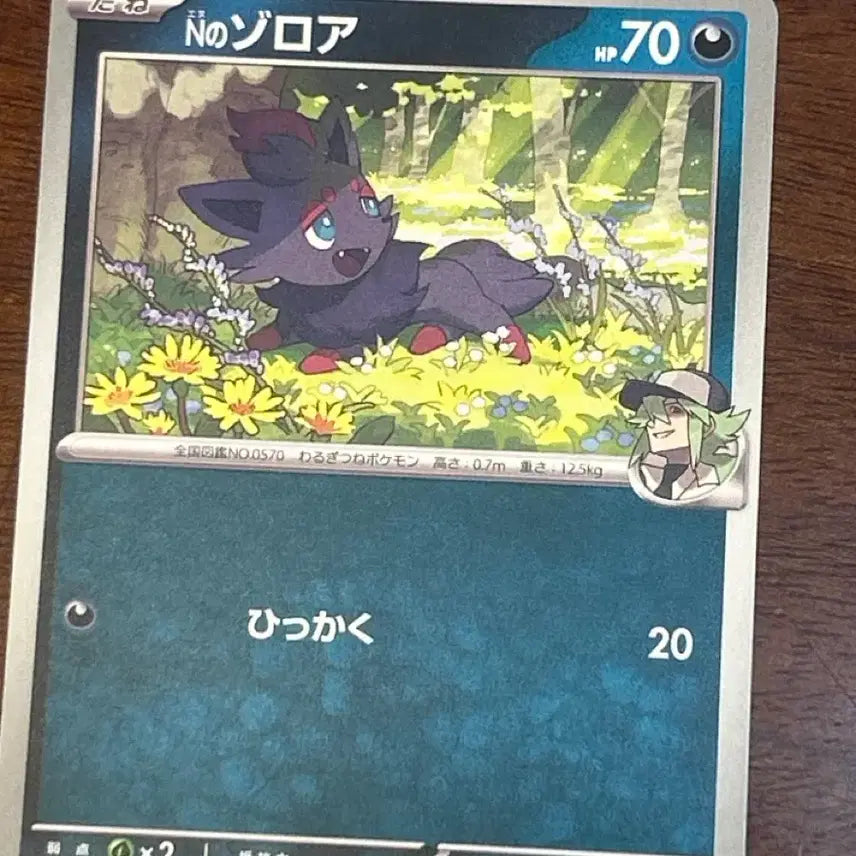 [BUNJANG] Pokémon Card N's Zoroark Japanese Edition / n의 조로타 일본판
