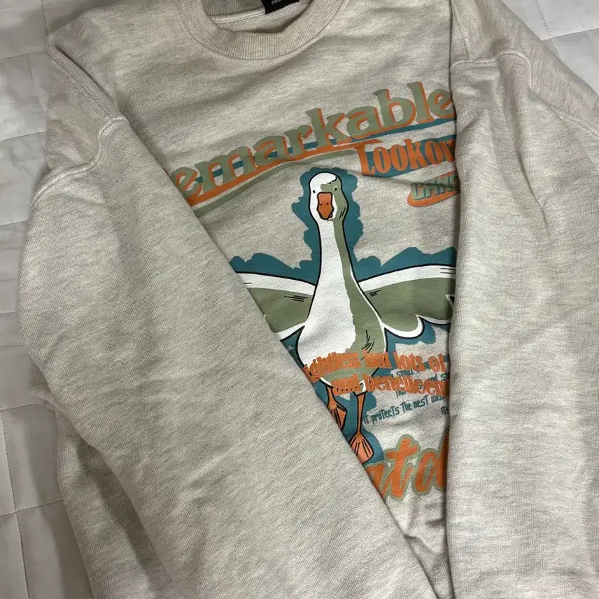 [BUNJANG] Compagno Sweatshirt / 꼼파뇨 맨투맨