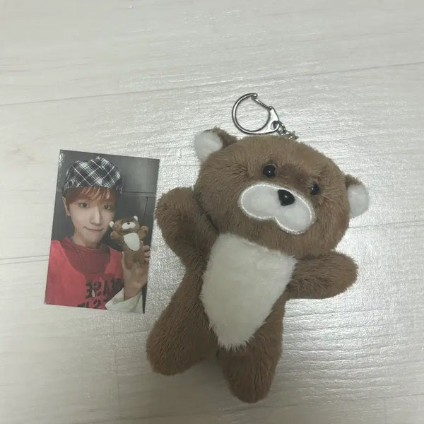 [BUNJANG] BOYNEXTDOOR How? ver. Darling Photocard / 보이넥스트도어 쁘넥도 하우 버전 달링 (포카포함)
