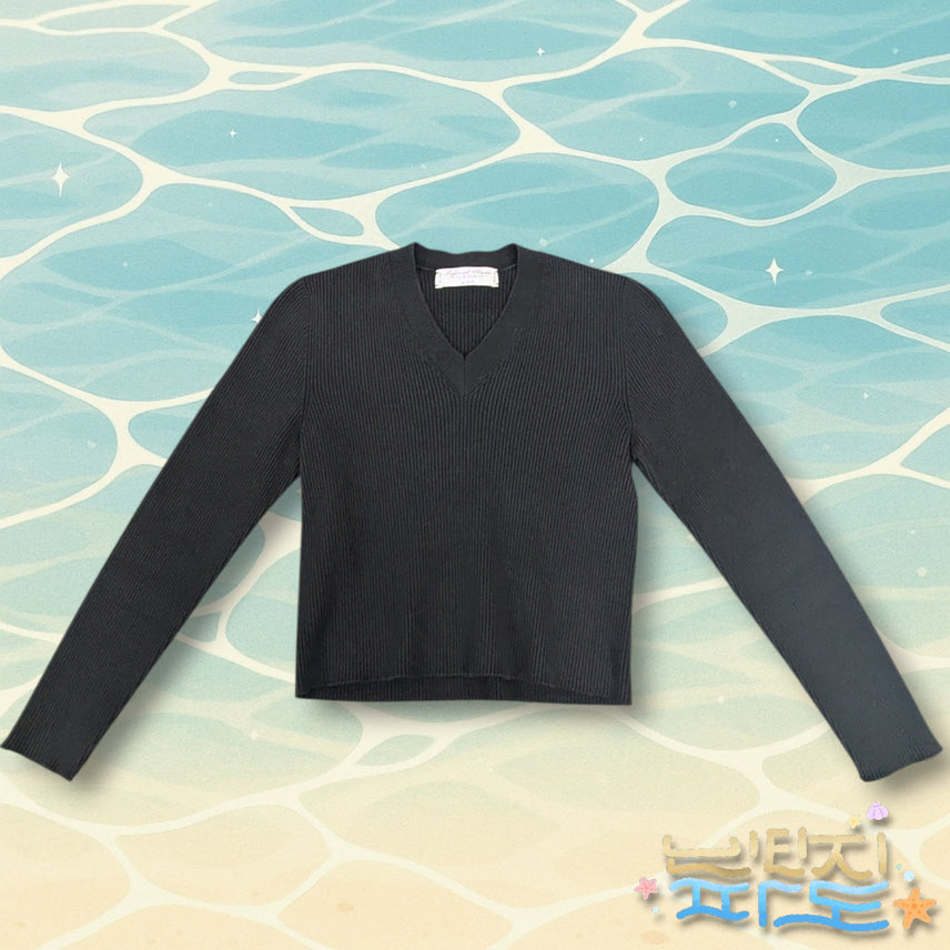 [BUNJANG] Urbanic 30 Ribbed TORINO V-Neck Knit Sweater / 90 얼바닉 30 골지 TORINO 브이넥 쫄 니트