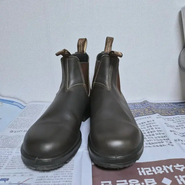 [BUNJANG] Blundstone Chelsea Boots Brown / 블런드스톤 첼시 부츠 브라운