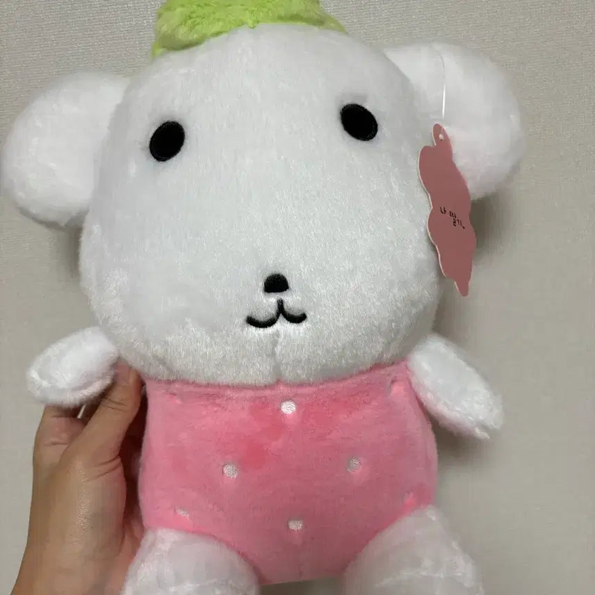 [BUNJANG] Ganadi 33cm Plush Doll / 나 안아 가나디 33cm 인형
