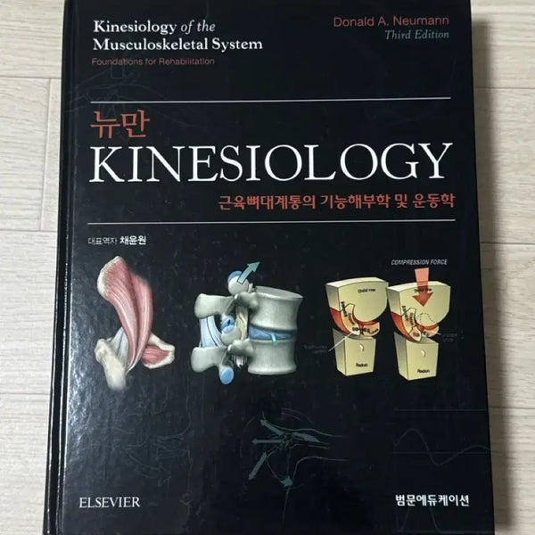 [BUNJANG] Neumann Kinesiology: Muscles, Ligaments, Joints, and Their Effect on Function and Performance, 3rd Edition / 뉴만 Kinesiology 근육뼈대계통의 기능해부학 및 운동학 제3판