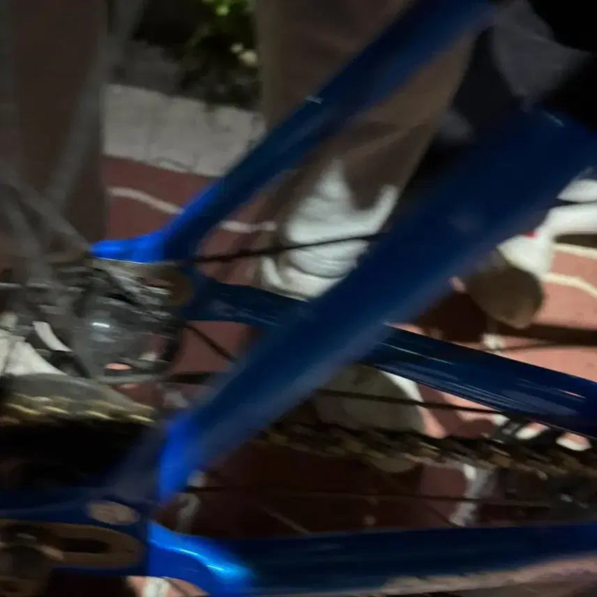 [BUNJANG] Engine11 Blueskin Vita Bicycle / 엔진