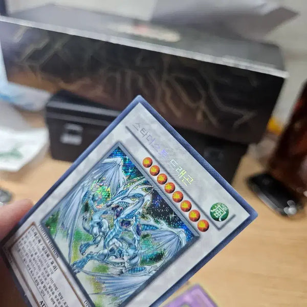 [BUNJANG] Stardust Dragon Diagonal Chic / 스타더스트드래곤 사선시크